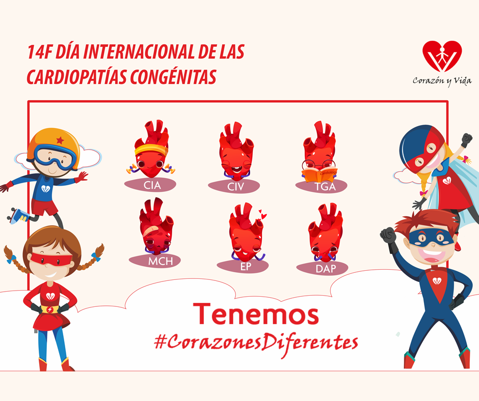 Dia de las Cardiopatias congenitas corazon y vida